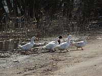 Начавшаяся неделя удивит нас аномально теплой погодой 