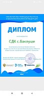 В Баклушах очистили берег пруда