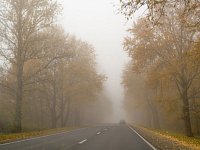 В ближайшие дни нас ждёт туман