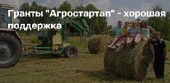 От полутора до семи миллионов рублей могут получить жители Саратовской области на стартапы в агробизнесе