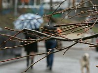Аркадакцев предупреждают о похолодании