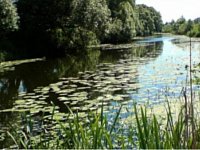 Исток реки Ольшанки начали благоустраивать