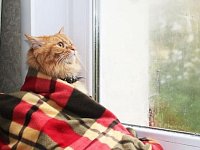 После теплых выходных с осадками в Аркадаке возможны заморозки