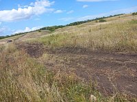 В Краснознаменском муниципальном образовании завершена работа по созданию минерализированных полос
