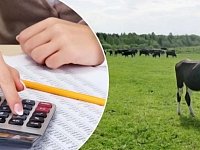 Аркадакские животноводы могут получить дополнительные субсидии