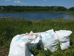 В Баклушах очистили берег пруда