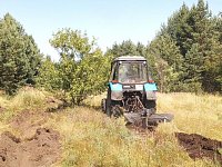 Аркадакское лесничество готовит землю под посадку сеянцев