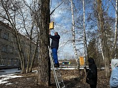 В школах Аркадакского района проводились игры, конкурсы, викторины, вывешивались кормушки и скворечники