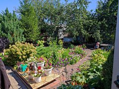 Семья Сисиных создаёт на своём подворье настоящую красоту