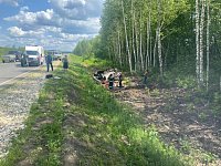 В Аркадакском районе ДТП с пострадавшими