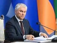 Володин разъяснил председателю Бундестага роль Красной армии в победе над нацизмом
