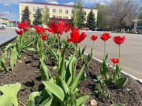 Аркадак готовится ко Дню Победы