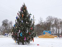 На центральной площади Аркадака установили главную ёлку