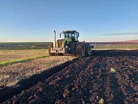 Уборка подсолнечника в Аркадакском районе подходит к завершению 