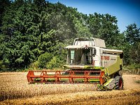 Уборочная в Аркадакском районе набирает обороты