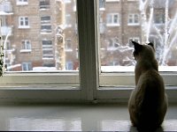 В День Победы в Аркадаке возможен снег