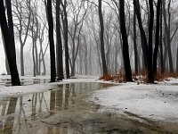 Нас ожидают теплые выходные с дождем и туманом