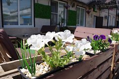В Аркадаке открылось первое летнее кафе