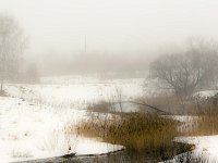 Аркадакцев ждут тёплые выходные с туманами