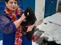 Семья Свинцовых из Ивановки делится секретами разведения кроликов