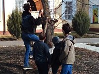 Аркадакские ребята развесили на деревья возле храма скворечники