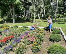 Цветут и благоухают клумбы около Краснознаменского Дома культуры