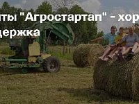 От полутора до семи миллионов рублей могут получить жители Саратовской области на стартапы в агробизнесе