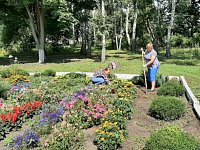 Цветут и благоухают клумбы около Краснознаменского Дома культуры