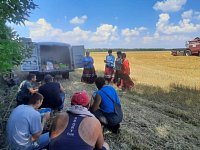 Росташовские артисты подарили музыкальные минуты отдыха труженикам полей