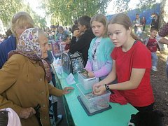 Аркадак отпраздновал День города