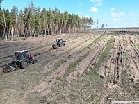 Аркадакский район участвует в Международной акции «Сад Памяти»