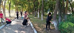Аркадакское студенчество включилось в большую осеннюю уборку города
