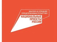 Почти 800 млрд рублей получил малый и средний бизнес под поручительства НГС