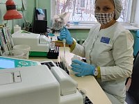 Специалисты по лабораторной диагностике районной больницы занимаются широким спектром исследований