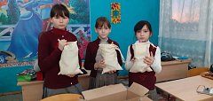 Учащиеся и педагоги Новосельской школы приняли участие в акции "Подарок солдату"