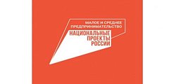 Почти 800 млрд рублей получил малый и средний бизнес под поручительства НГС   