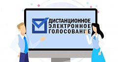 Избиратели Саратовской области смогут поучаствовать в тестировании платформы для дистанционного электронного голосования
