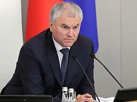 Володин о качестве и количестве еды в школах