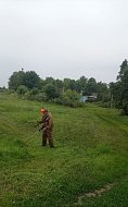 Во Львовском муниципальном образовании борются с сорняками
