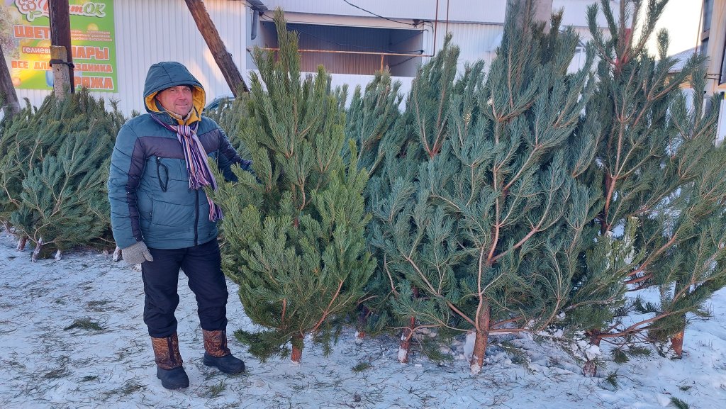 ёлочки.jpg ёлочки.jpg