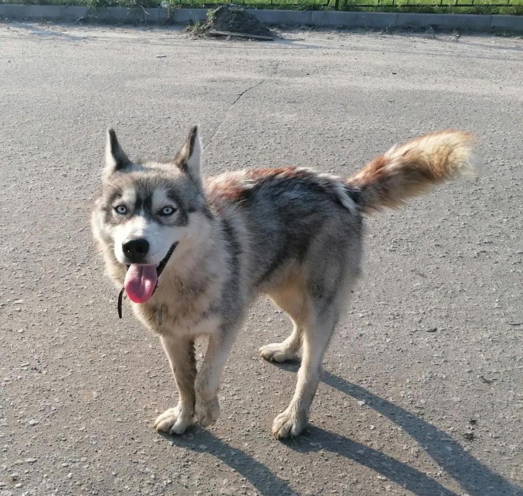IMG_20260810_094247 — копия.jpg