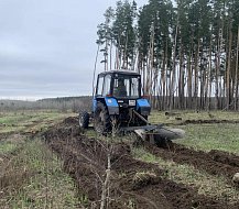  В Аркадакском районе активно идут весенние посадки леса