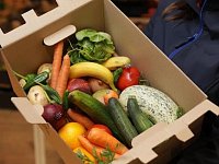 Аркадакцы собирают овощи для земляков-военнослужащих