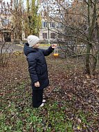 Аркадакцев научили делать экологические кормушки 