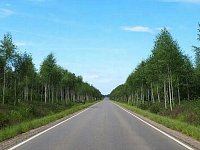 Продолжится ремонт дороги «Аркадак – Соцземледелие»