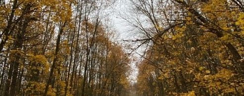 Предстоящие выходные обещают переменчивую погоду