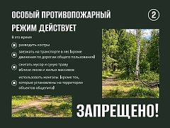 В регионе действует особый противопожарный режим 