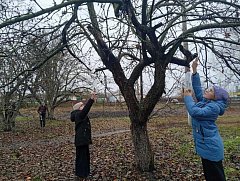 Ольшанские школьники отметили праздник пернатых друзей