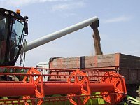 На полях района  продолжаются уборочные работы 