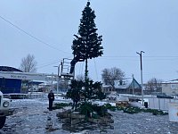 В Аркадаке началась установка  новогодних ёлок